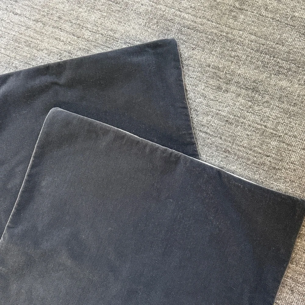 Two Matching Accent Pillowcases 20x20”